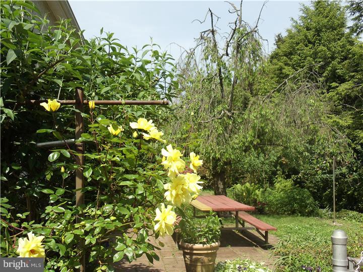 625 North Cedar Road Jenkintown, PA 19046 - Photo 22 of 25 Gallery Image 22