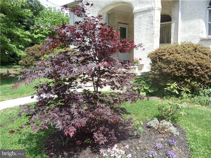 625 North Cedar Road Jenkintown, PA 19046 - Photo 4 of 25 Gallery Image 4