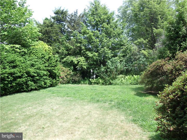 625 North Cedar Road Jenkintown, PA 19046 - Photo 7 of 25 Gallery Image 7