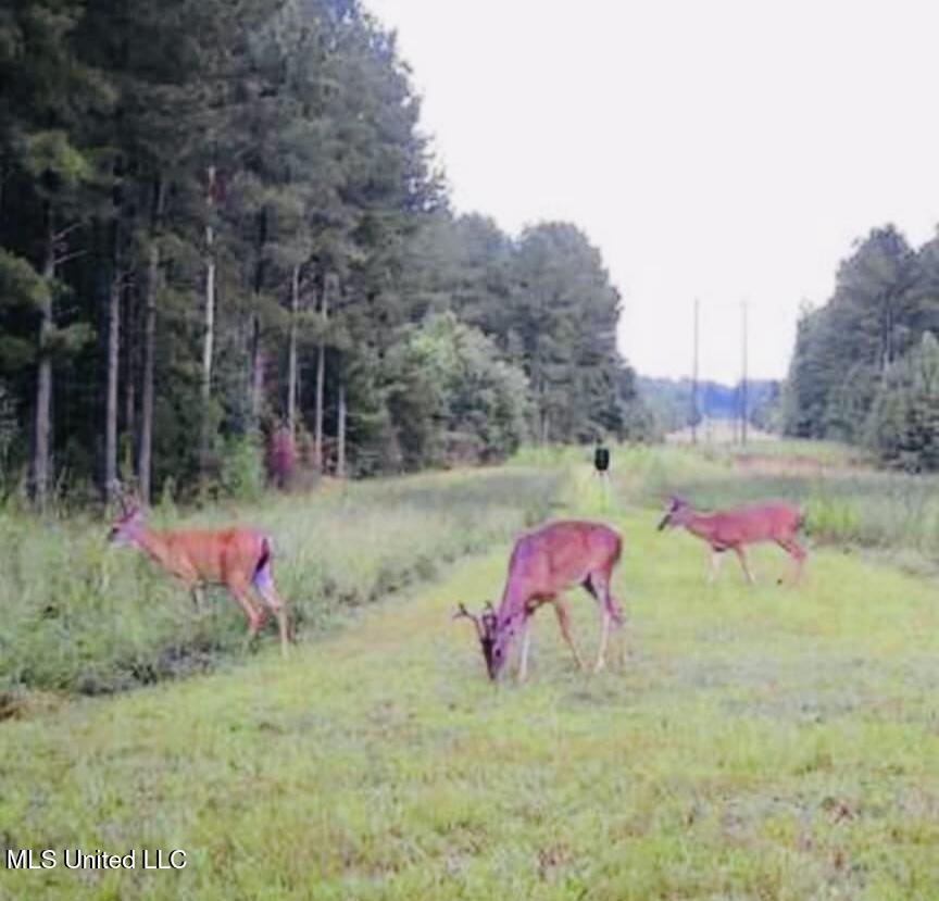 att.g3J3N4JnPNrsmovPo0WKCAcdawvtXwt0rx1x