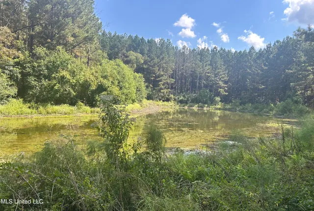 $414,750 | No Little Black Creek Road, Lumberton, MS 39455