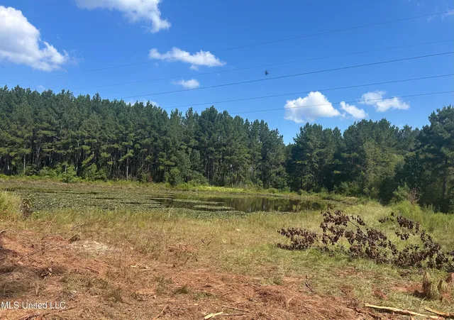 $414,750 | No Little Black Creek Road, Lumberton, MS 39455