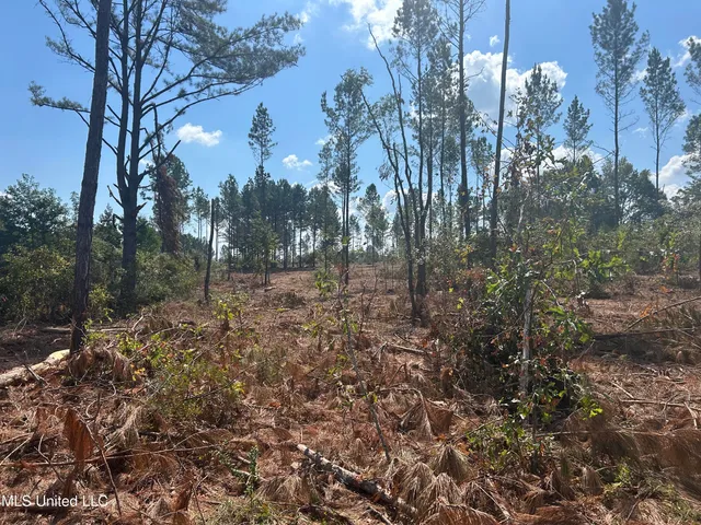 $414,750 | No Little Black Creek Road, Lumberton, MS 39455