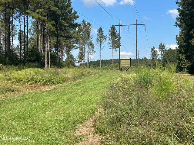 $414,750 | No Little Black Creek Road, Lumberton, MS 39455