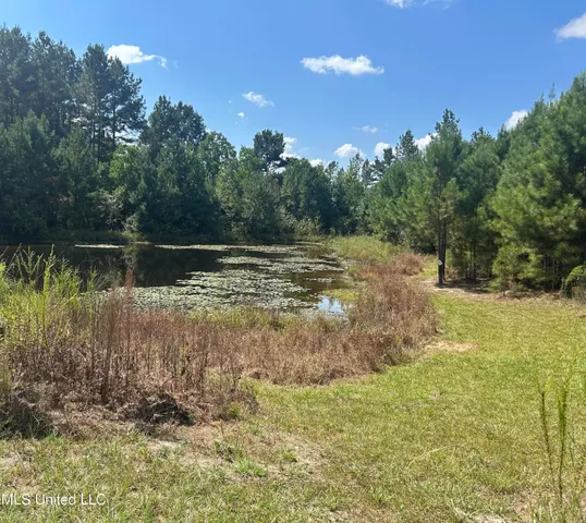 $414,750 | No Little Black Creek Road, Lumberton, MS 39455