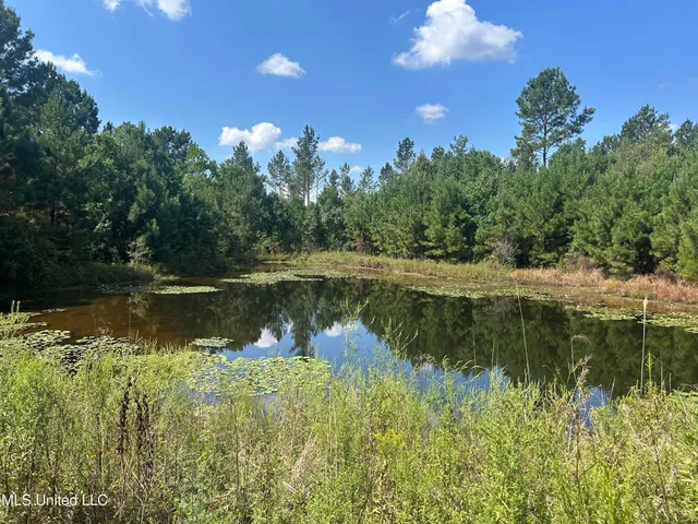 $414,750 | No Little Black Creek Road, Lumberton, MS 39455