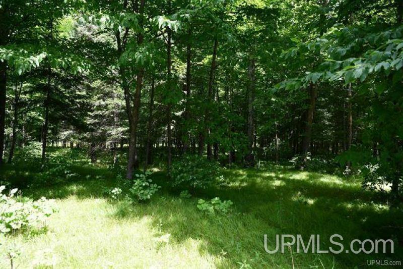 Lot#25 Fordville Road Foster City, MI 49834 - Photo 14 of 27