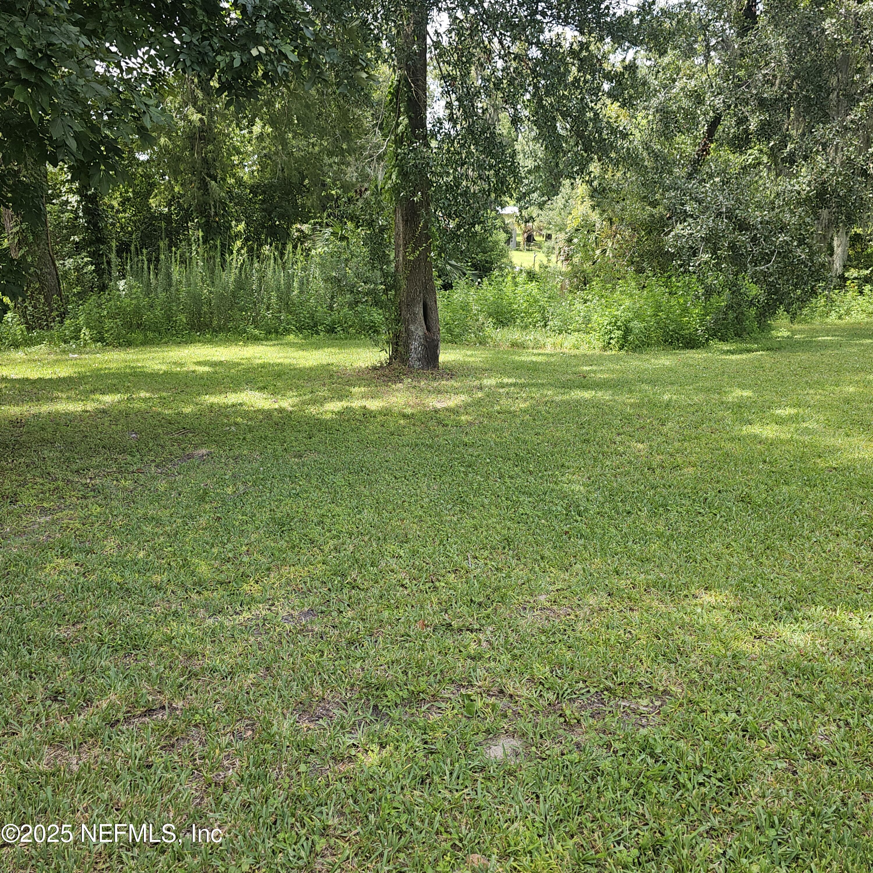 10596 Rutgers Road Jacksonville, FL 32218 - Photo 15 of 15 a big yard with lots of green space and trees