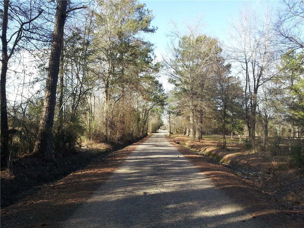 0 A A Pierre Road Folsom, LA 70437 - Photo 8 of 11 Gallery Image 8