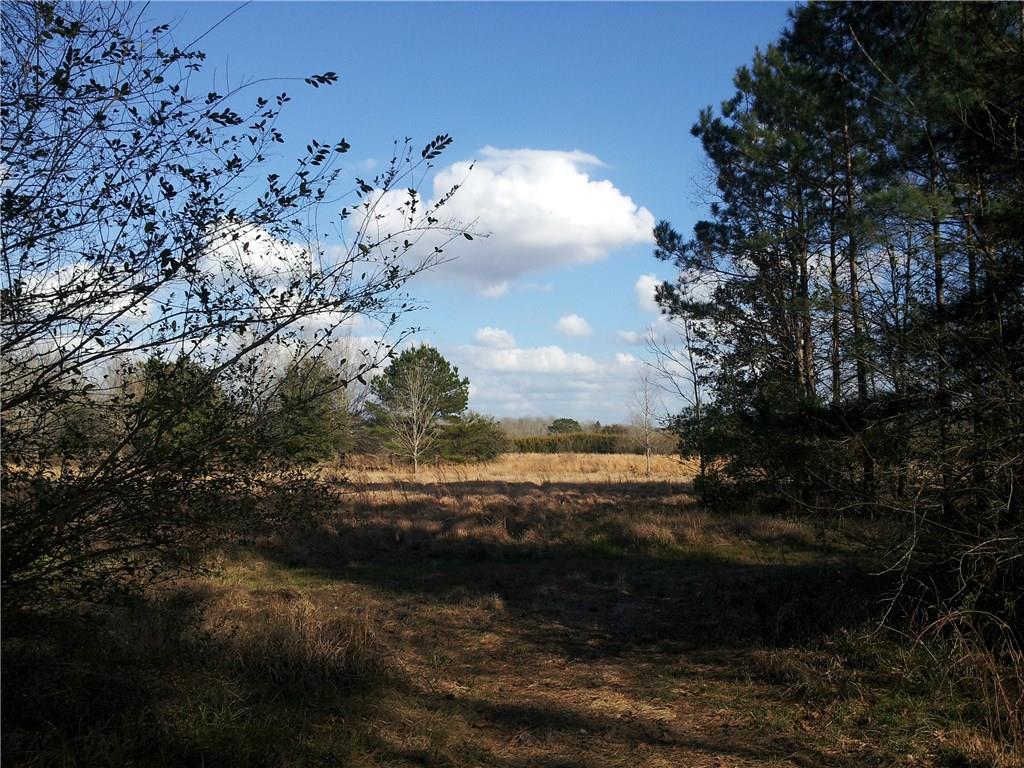 0 A A Pierre Road Folsom, LA 70437 - Photo 9 of 11 Gallery Image 9