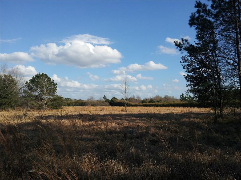 0 A A Pierre Road Folsom, LA 70437 - Photo 10 of 11 Gallery Image 10