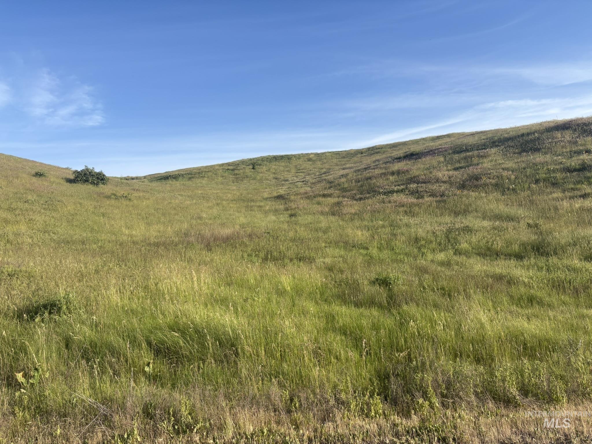 Tbd Bethel Road Horseshoe Bend, ID 83629 - Photo 12 of 18