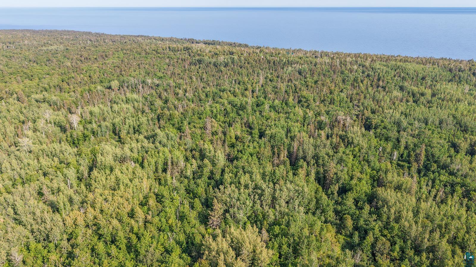 Xxx1 Mink Ranch Road Lutsen, MN 55612 - Photo 17 of 19 Gallery Image 17