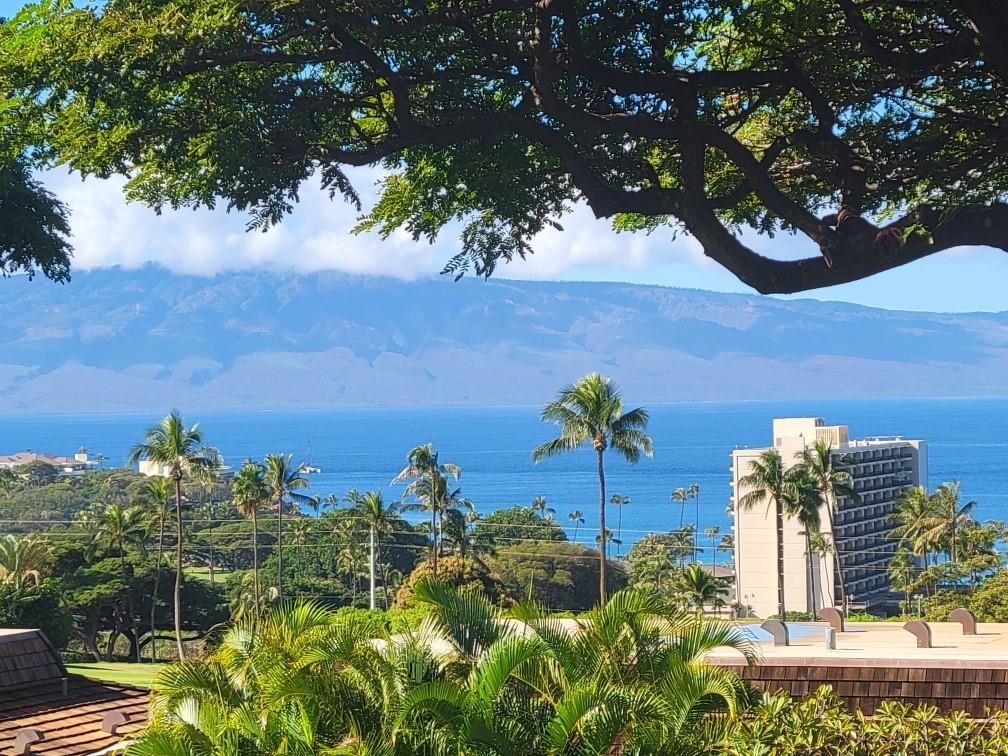 150 Puukolii Road, Unit 17 Lahaina, HI 96761 - Photo 1 of 40 a view of a yard with an outdoor space