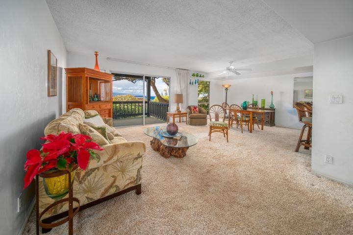 150 Puukolii Road, Unit 17 Lahaina, HI 96761 - Photo 18 of 40 a living room with furniture and a flat screen tv