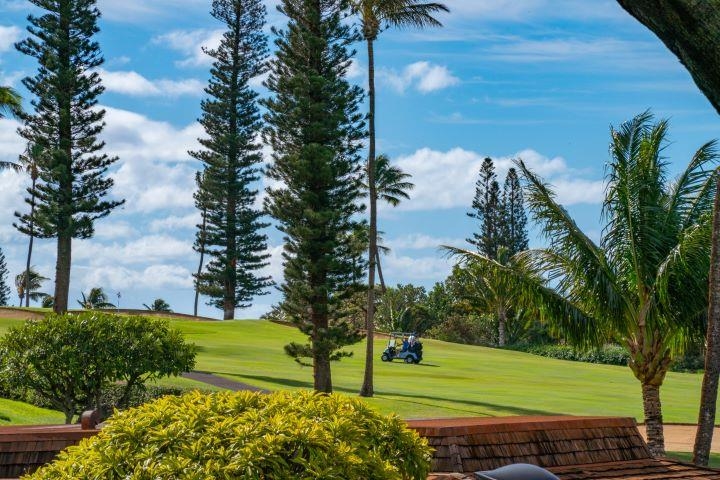 150 Puukolii Road, Unit 17 Lahaina, HI 96761 - Photo 3 of 40 a view of a park with tree s