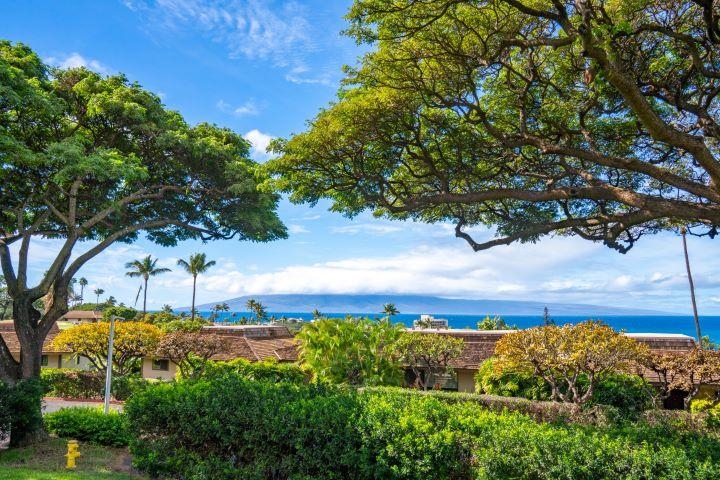 150 Puukolii Road, Unit 17 Lahaina, HI 96761 - Photo 31 of 40 a view of a yard