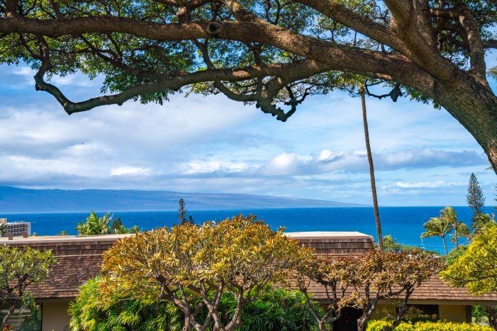 150 Puukolii Road, Unit 17 Lahaina, HI 96761 - Photo 33 of 40 a view of a backyard