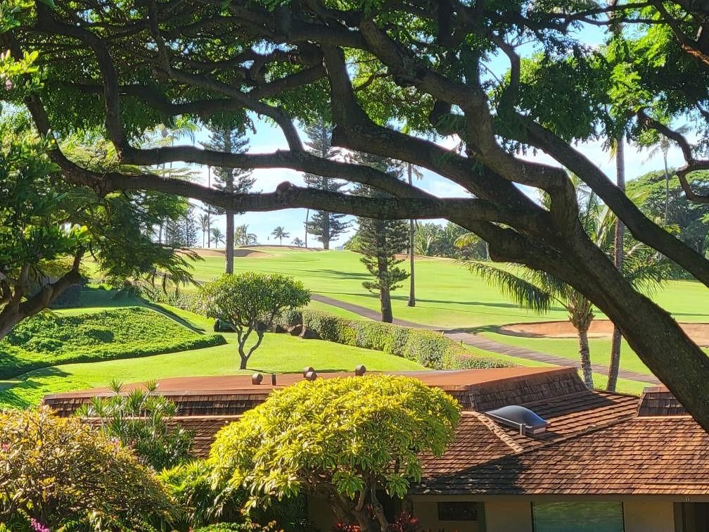 150 Puukolii Road, Unit 17 Lahaina, HI 96761 - Photo 39 of 40 a view of a yard with an outdoor space