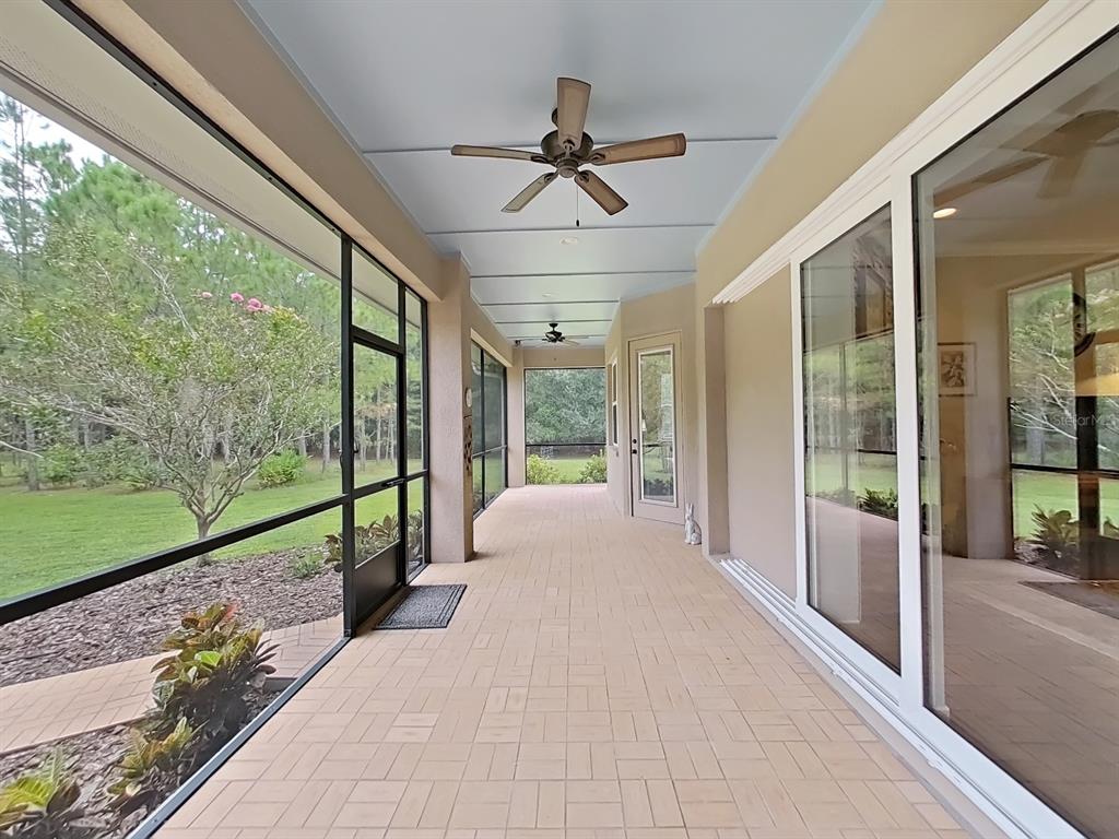 11970 Neal Road Lithia, FL 33547 - Photo 34 of 50 Rear Screened Porch