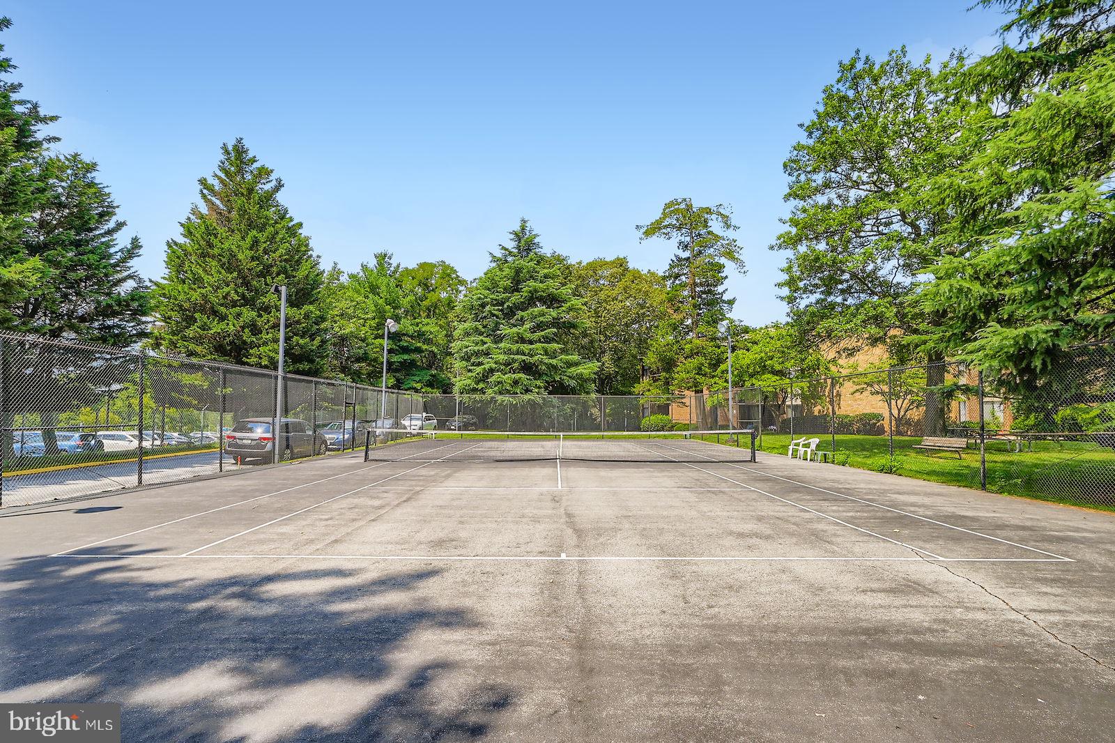 9900 Georgia Avenue, Unit 27716 Silver Spring, MD 20902 - Photo 32 of 37 a view of a park with plants and trees