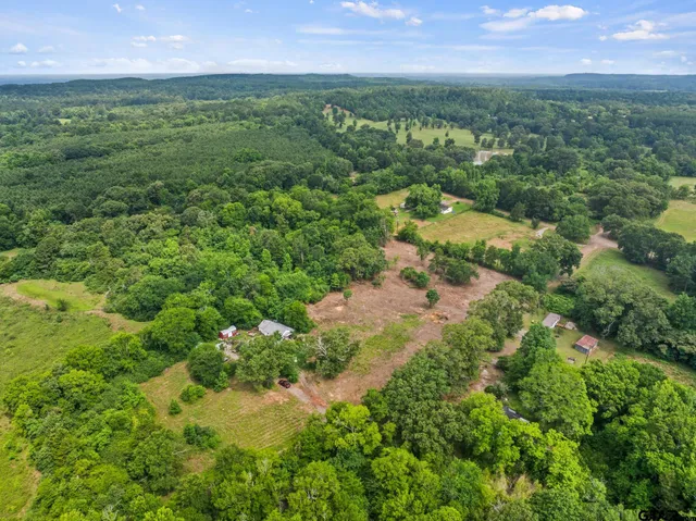an aerial view of residential houses with outdoor space and trees