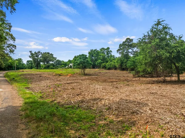 a view of a field with an trees