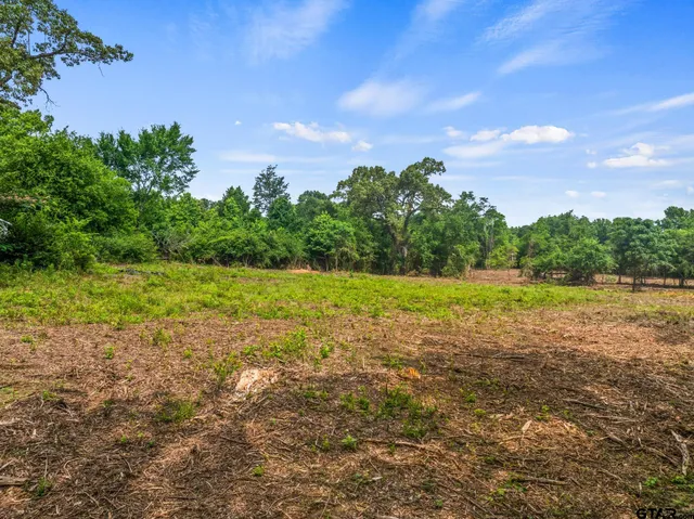 a view of a garden with a house
