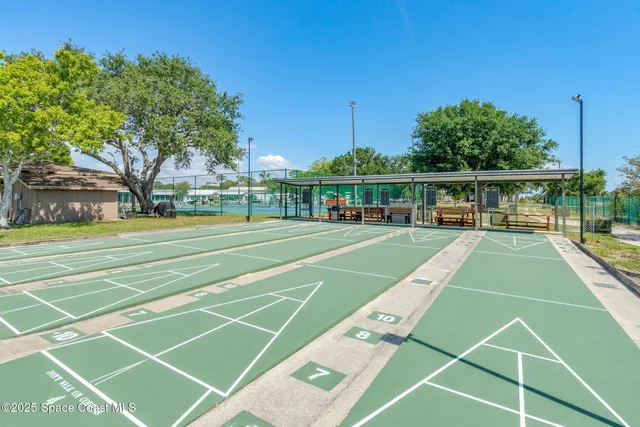 a view of a tennis ground with large trees