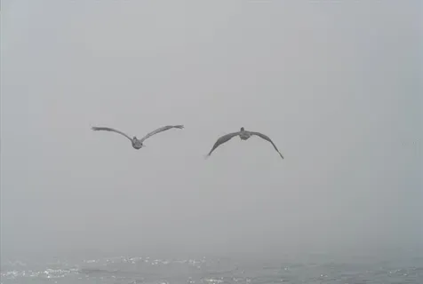 a view of swimming pool in the backyard