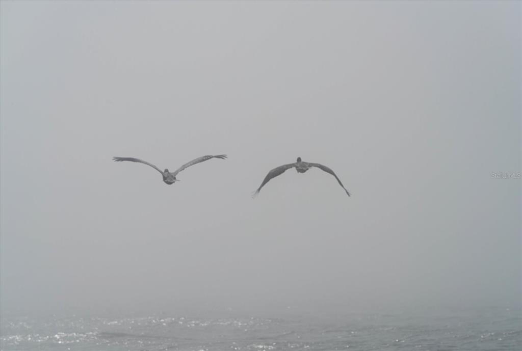 19930 Gulf Boulevard, Unit 5C Indian Shores, FL 33785 - Photo 46 of 55 a view of an empty room