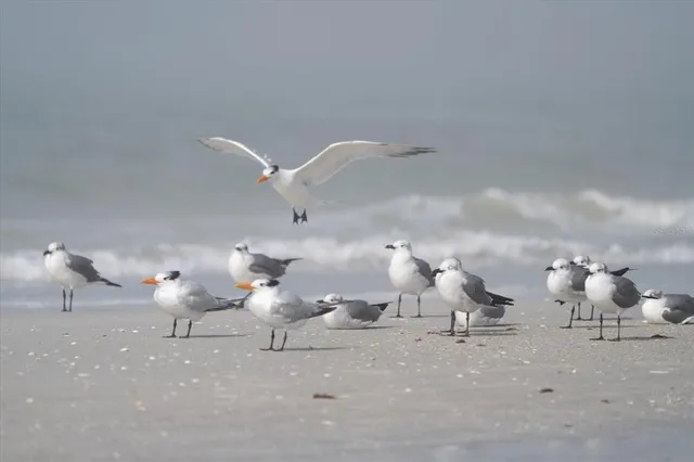 a view of open kitchen