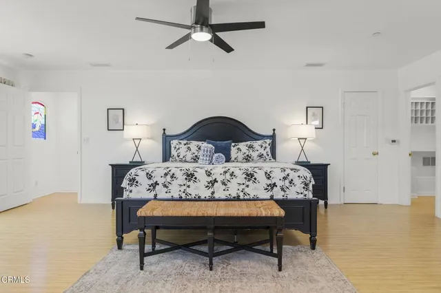 a view of a palm tree next to a road