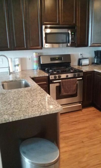 215 Piedmont Avenue Northeast, Unit 1604 Atlanta, GA 30308 - Photo 2 of 17