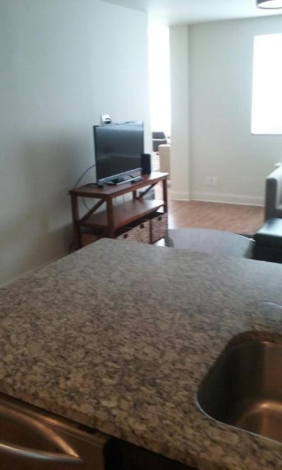 215 Piedmont Avenue Northeast, Unit 1604 Atlanta, GA 30308 - Photo 8 of 17