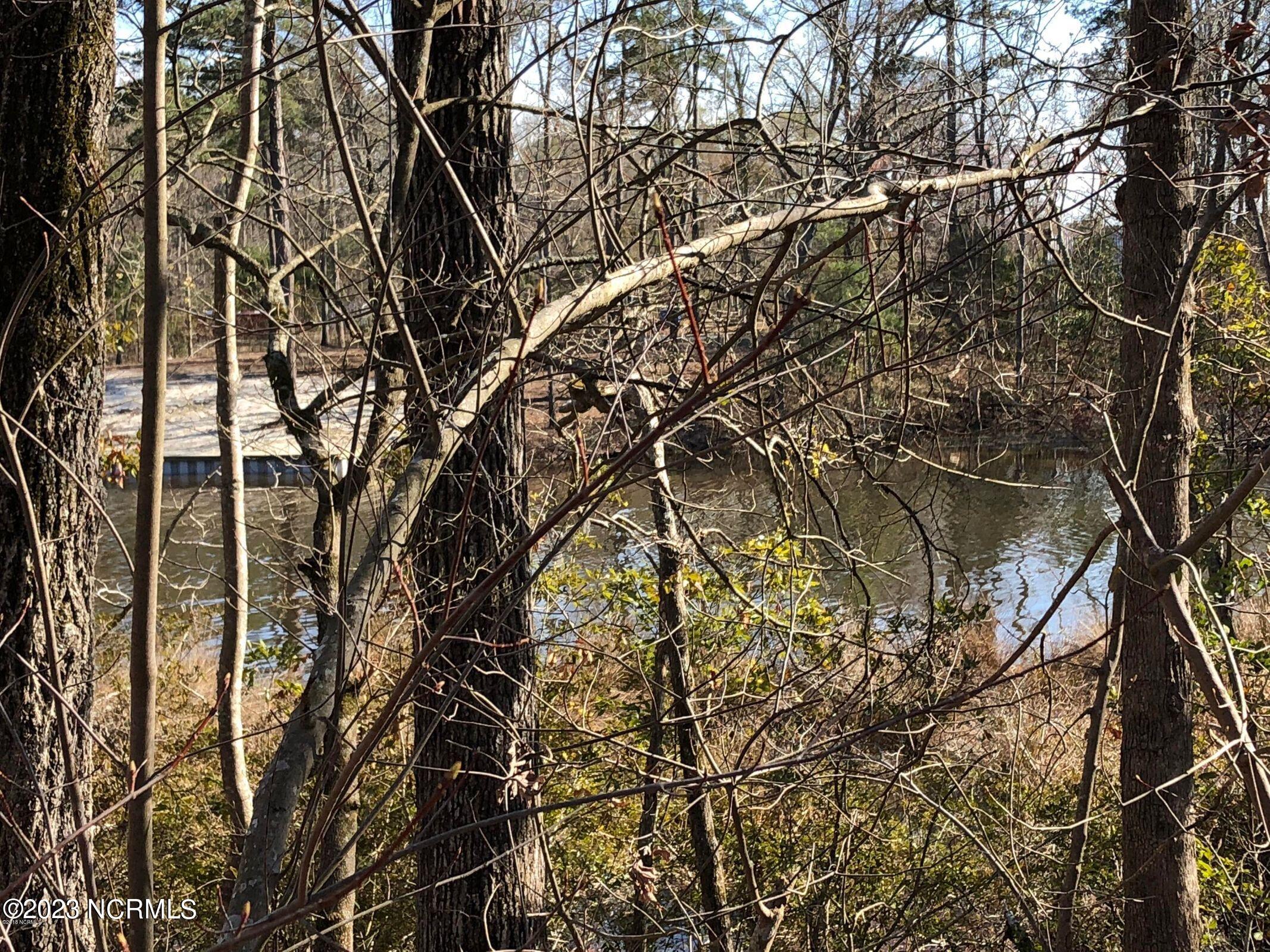 0 Archbell Road Bath, NC 27808 - Photo 18 of 43 20180403190113830377000000-o