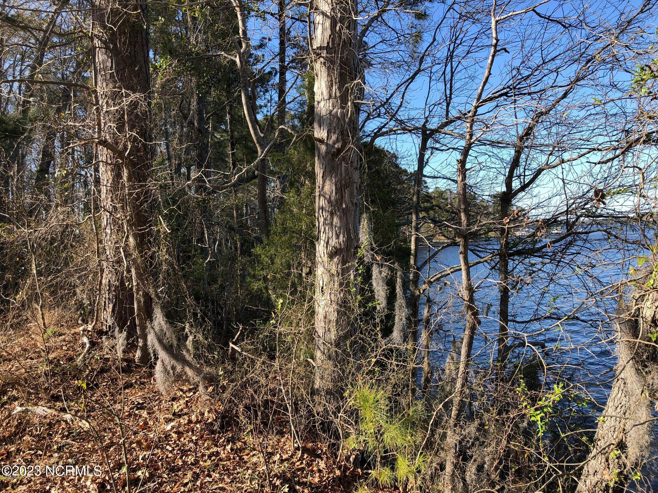 0 Archbell Road Bath, NC 27808 - Photo 43 of 43 20180403190551190861000000-o