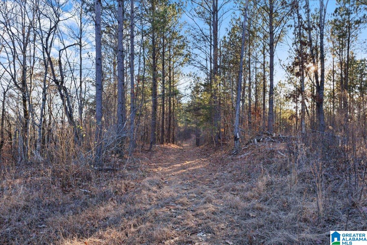 0 Smith Road Boaz, AL 35957 - Photo 16 of 27 Gallery Image 16