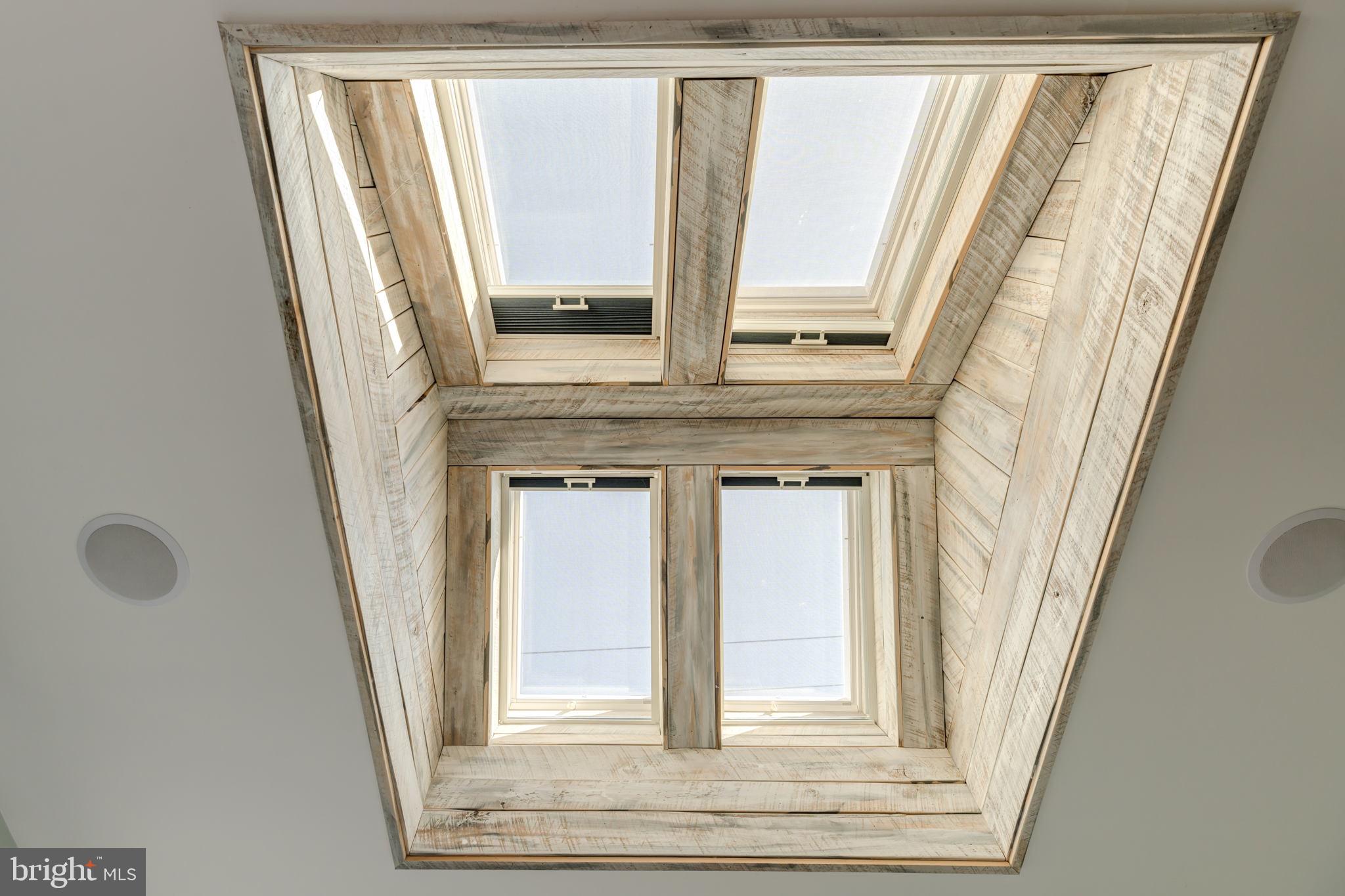 601 South St Asaph Street Alexandria, VA 22314 - Photo 28 of 47 Skylight in Primary Bedroom