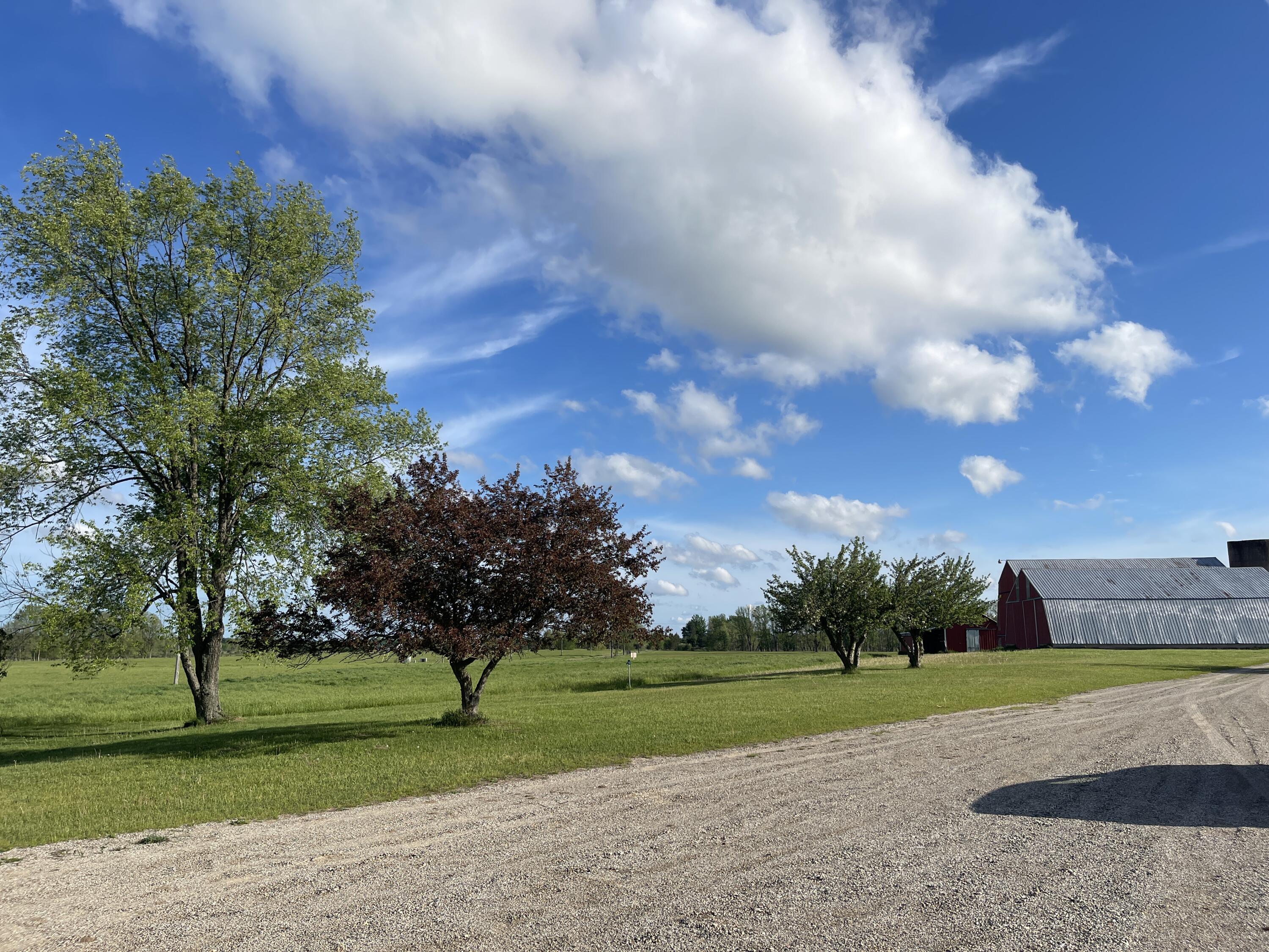 11758 Monroe Road Morley, MI 49336 - Photo 5 of 15 IMG_2179