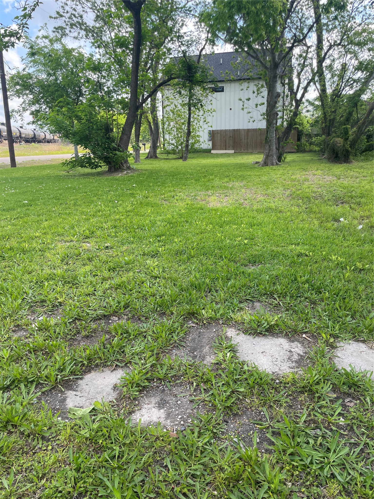 a backyard of a house with plants and large trees