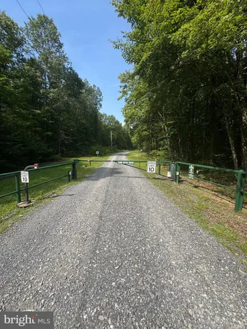 a view of outdoor space with lots of trees