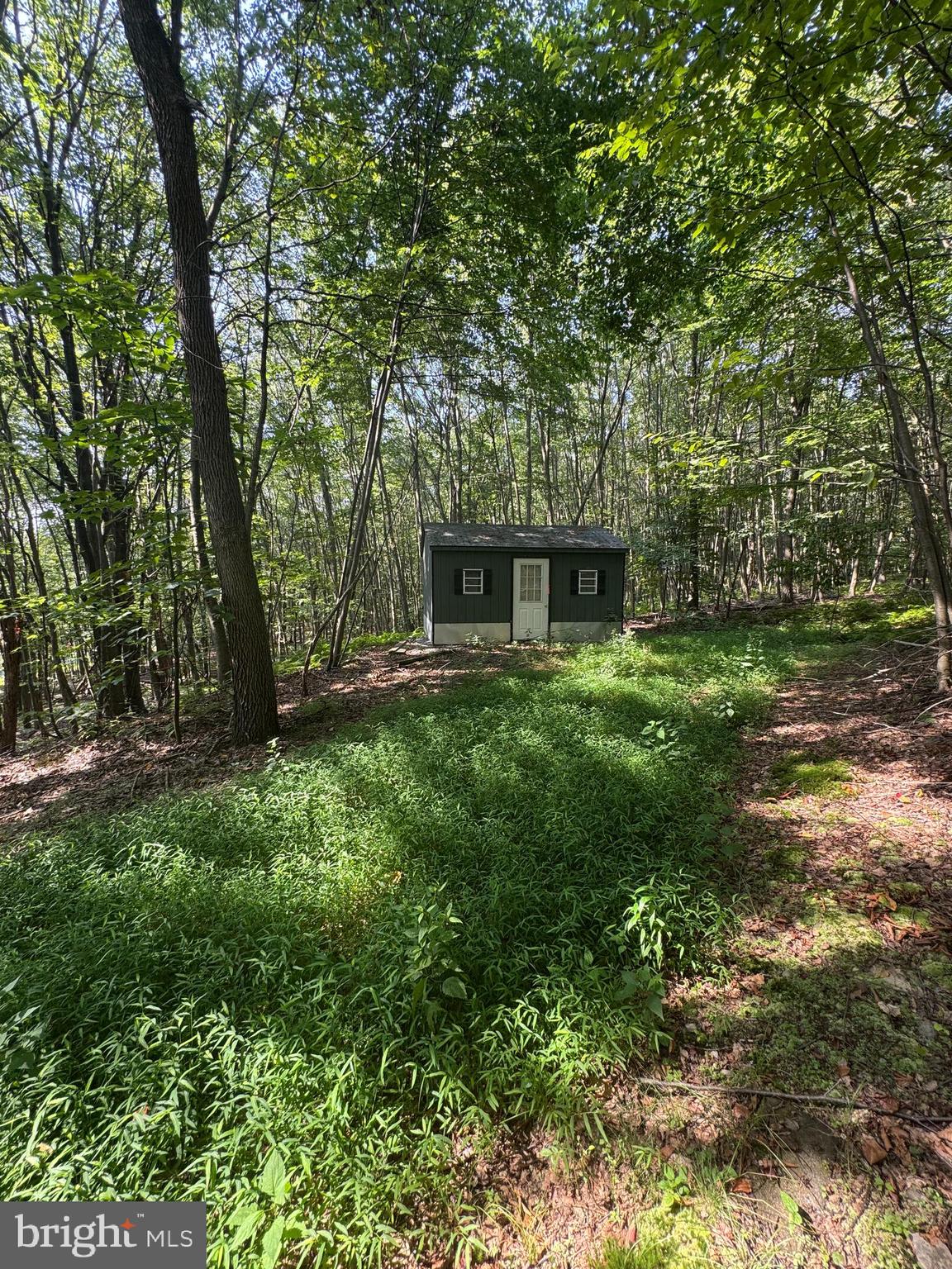 8165 Sand Rock Road Huntingdon, PA 16652 - Photo 6 of 8 a view of house with backyard