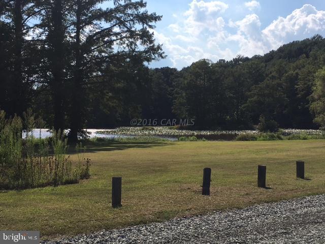 Whiton Road Pittsville, MD 21850 - Photo 14 of 15 a view of a lake