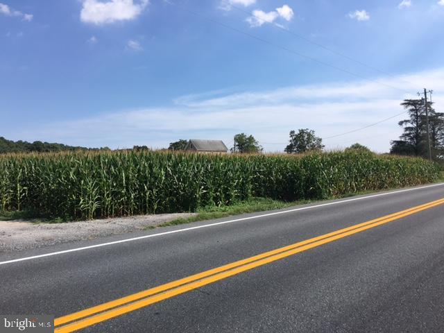 Whiton Road Pittsville, MD 21850 - Photo 5 of 15 a view of a city street