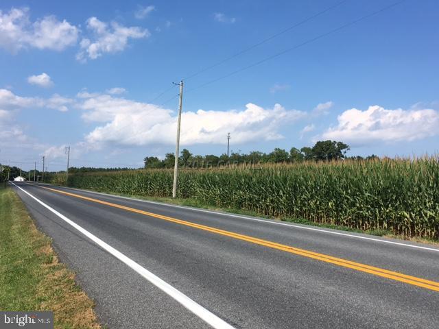 Whiton Road Pittsville, MD 21850 - Photo 6 of 15 a view of a city