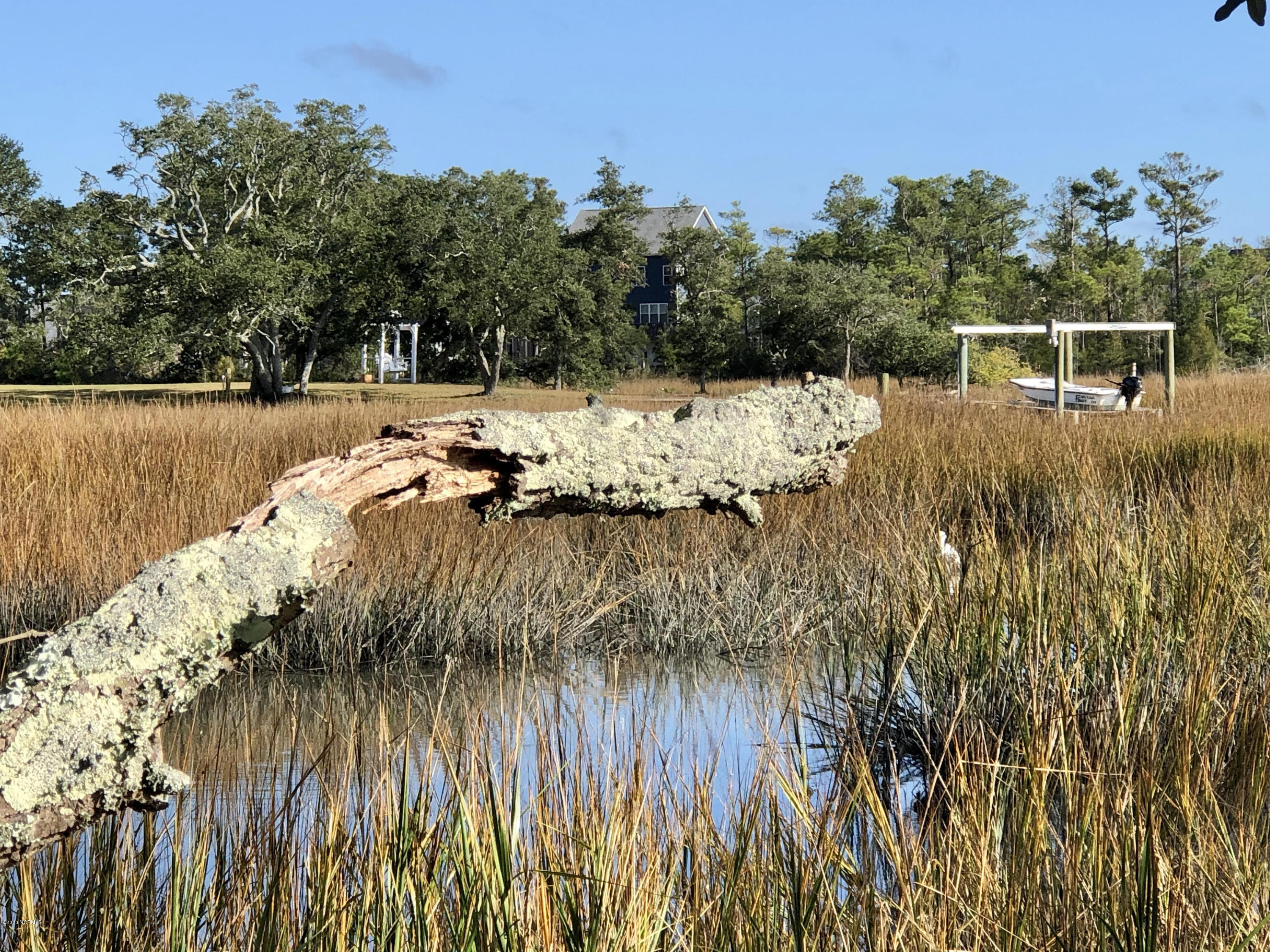 1806 Paulette Road Morehead City, NC 28557 - Photo 35 of 39 Do you see the Egret in this photo?