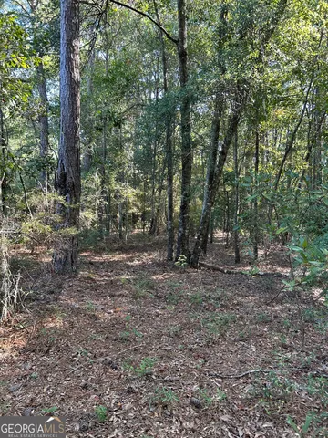 $65,000 | 468 Zettwell Road, Statesboro, GA 30461
