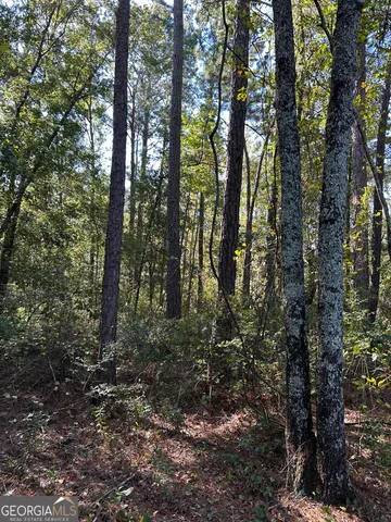 $65,000 | 468 Zettwell Road, Statesboro, GA 30461