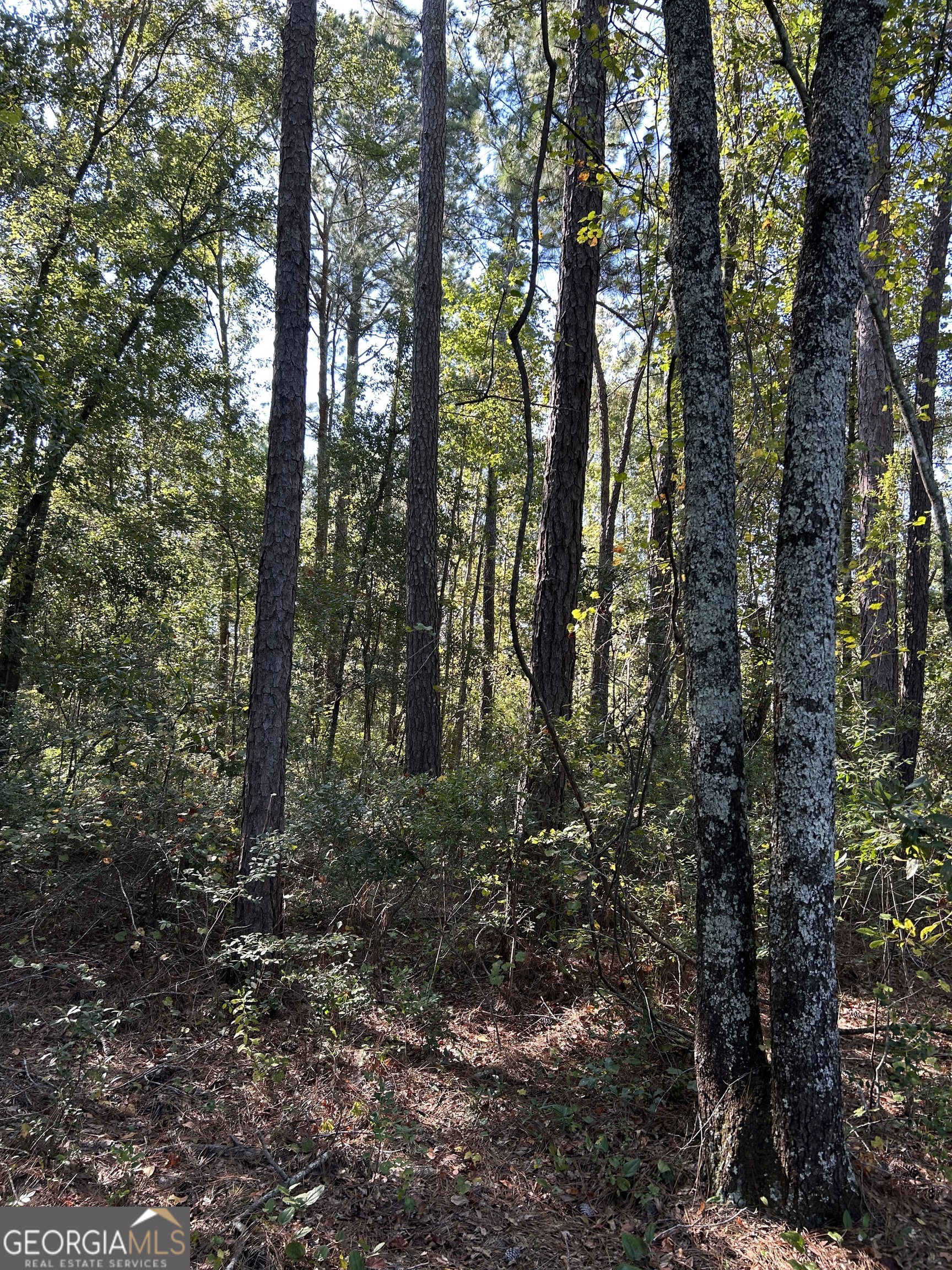 468 Zettwell Road Statesboro, GA 30461 - Photo 3 of 5